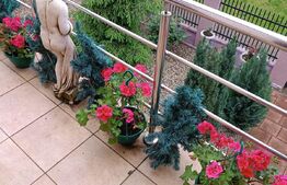 Casa individuala, 240 mp utili, 640 mp teren,  Dumbravita