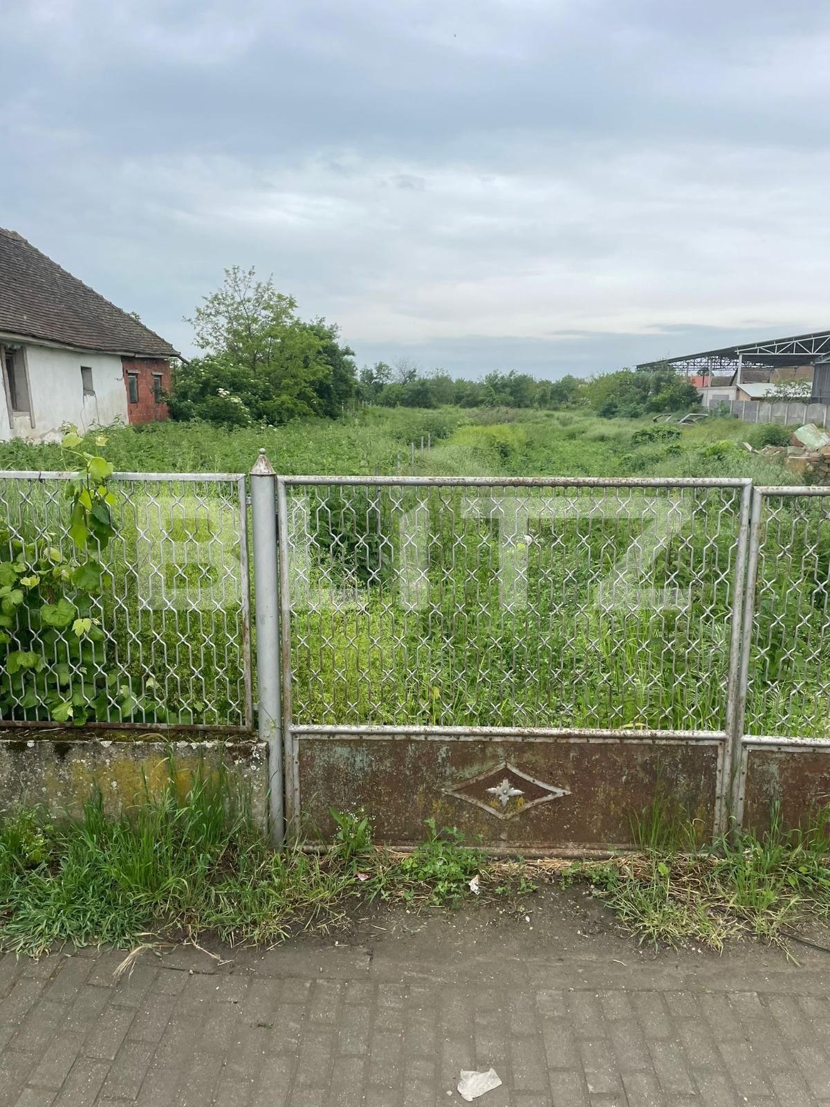 Teren de vânzare Parța - 116069TV | BLITZ Timișoara | Poza1