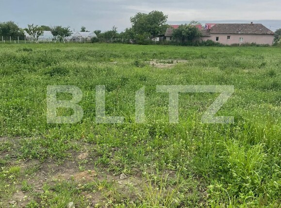 Teren de vânzare Parța - 116070TV | BLITZ Timișoara | Poza4
