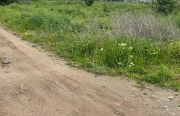 Teren intravilan 1.000 mp, front de 20 ml, Parta!