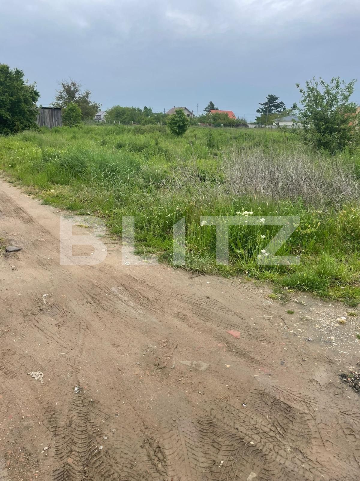 Teren de vânzare Parța - 116072TV | BLITZ Timișoara | Poza3