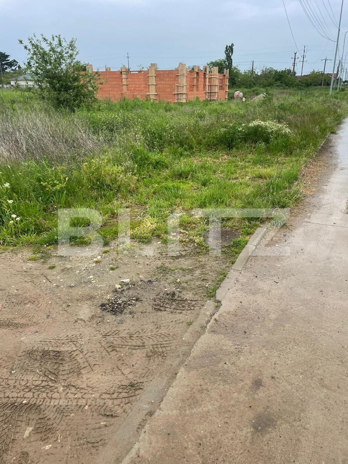 Teren de vânzare Parța - 116072TV | BLITZ Timișoara | Poza1