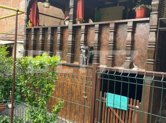 Casa de vânzare 2 camere Traian - 116212CV | BLITZ Timișoara | Poza2