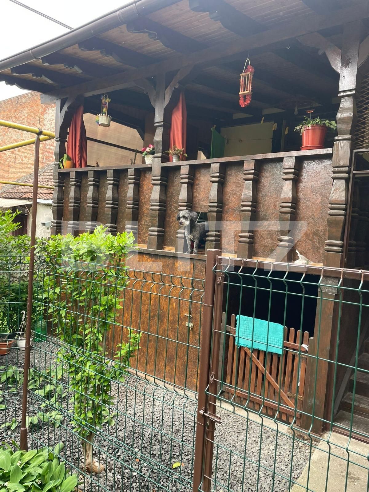 Casa de vânzare 2 camere Traian - 116212CV | BLITZ Timișoara | Poza2