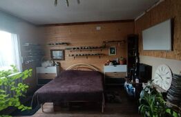 Casa de vanzare, structura usoara, 150 mp utili, teren 653 mp, Dumbravita