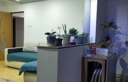 Apartament 3 camere, 75mp, etaj 4, zona Lipovei