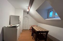 Apartament 2 camere, 45mp, zona Iosefin 