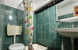 Apartament 2 camere, 45mp, zona Iosefin 