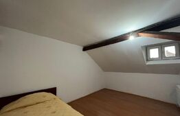 Apartament 2 camere, 45mp, zona Iosefin 