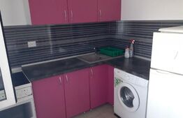 Apartament 1 camera, 50 mp, Balcescu