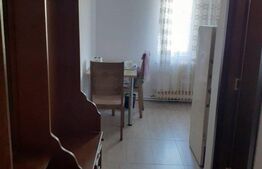 Apartament 1 camera, 50 mp, Balcescu