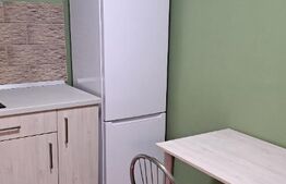 Apartament 1 camera, 38 mp, Balcescu 