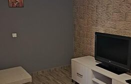 Apartament 1 camera, 38 mp, Balcescu 