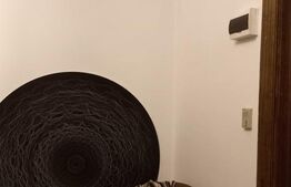 Apartament 2 camere, 60 mp, P-ta Unirii 