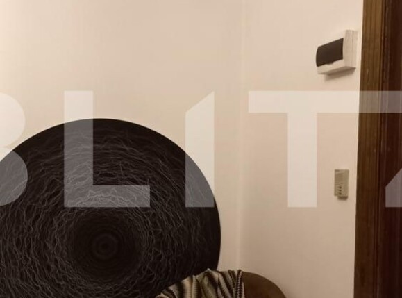 Apartament de închiriat 2 camere P-ta Unirii - 116340AI | BLITZ Timișoara | Poza4