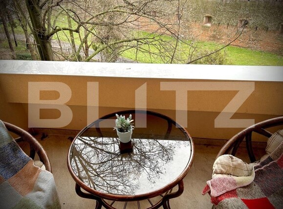 Apartament de închiriat 2 camere Central - 116466AI | BLITZ Timișoara | Poza2