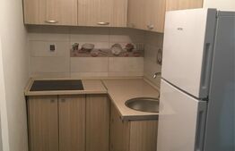 Apartament 1 camera, 30 mp, Medicina 