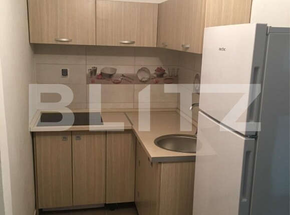 Garsonieră de închiriat Medicina - 116472AI | BLITZ Timișoara | Poza3