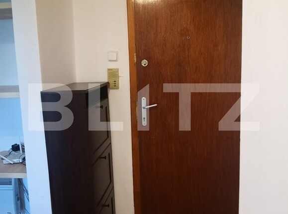 Garsonieră de închiriat Aradului - 116473AI | BLITZ Timișoara | Poza8