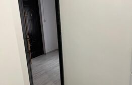 Garsoniera la casa, 25 mp, Freidorf