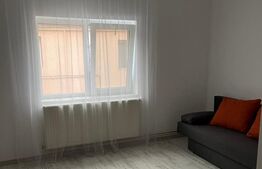 Garsoniera la casa, 25 mp, Freidorf