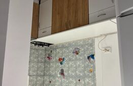 Garsoniera la casa, 25 mp, Freidorf