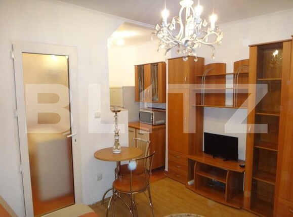 Garsonieră de închiriat Sagului - 116505AI | BLITZ Timișoara | Poza5