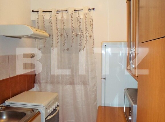 Garsonieră de închiriat Sagului - 116505AI | BLITZ Timișoara | Poza3