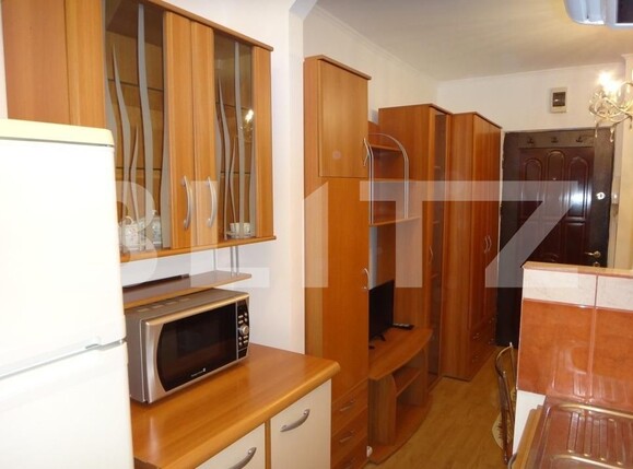 Garsonieră de închiriat Sagului - 116505AI | BLITZ Timișoara | Poza2