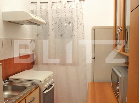Garsonieră de închiriat Sagului - 116505AI | BLITZ Timișoara | Poza1