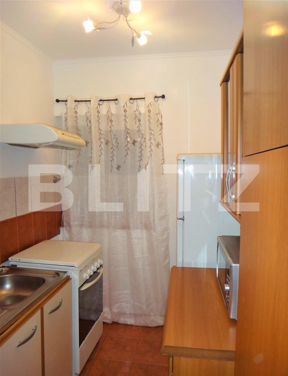Garsonieră de închiriat Sagului - 116505AI | BLITZ Timișoara | Poza3