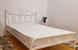 Locatie  centrala, zona Balcescu, case insiruite cu intrare separata