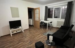Apartament de 2 camere, la parter, zona Șagului