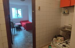 Oportunitate! Garsoniera, 17mp, renovata recent, zona Complex