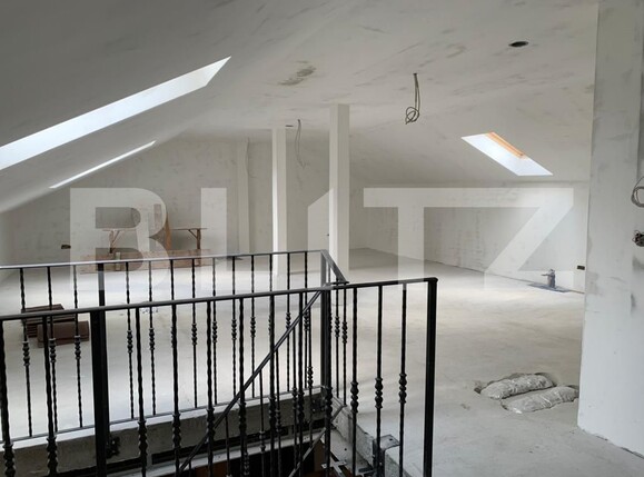 Casa de vânzare 5 camere Elisabetin - 116731CV | BLITZ Timișoara | Poza10