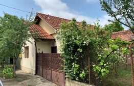 2 case cu suprafata utila 126 mp, Aleea Ghirodei