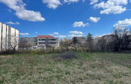 Teren intravilan, cu suprafața de 1036 mp, Mehala