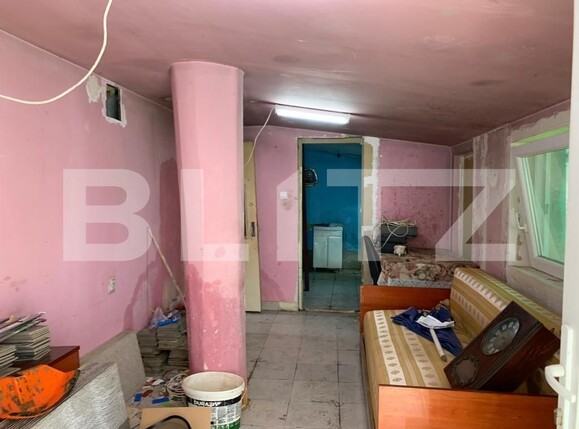 Casa de vânzare 2 camere Exterior Est - 116895CV | BLITZ Timișoara | Poza5