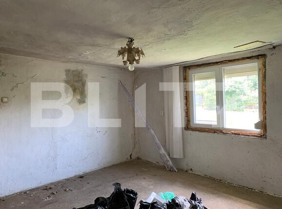 Casa de vânzare 2 camere Exterior Est - 116895CV | BLITZ Timișoara | Poza3