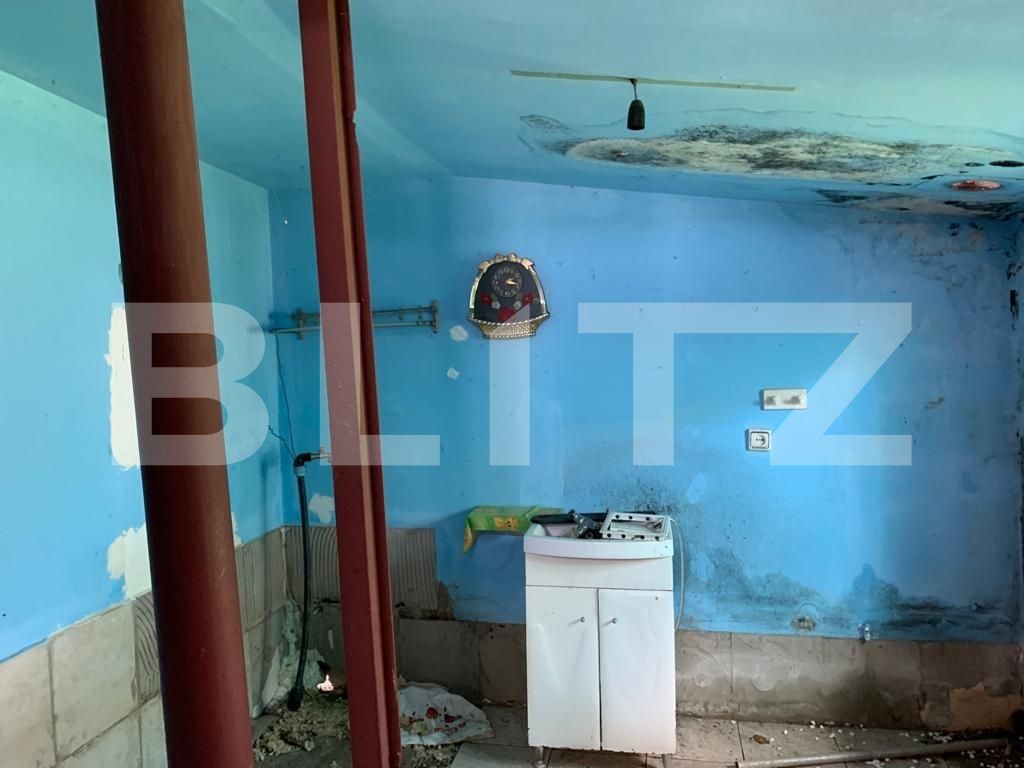 Casa de vânzare 2 camere Exterior Est - 116895CV | BLITZ Timișoara | Poza4