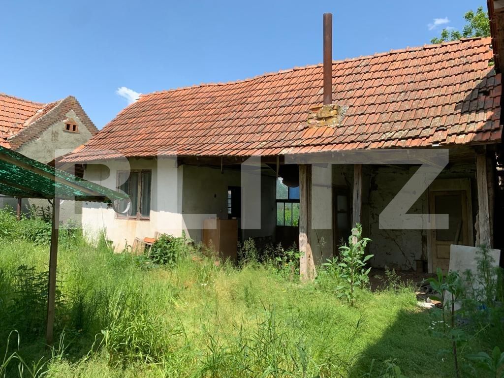 Casa de vânzare 2 camere Exterior Est - 116895CV | BLITZ Timișoara | Poza2