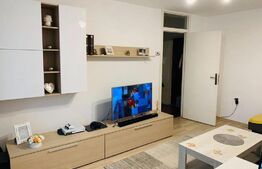 Apartament mobilat, 2 camere, Calea Aradului