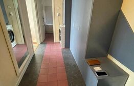 Apartament mobilat, 2 camere, Calea Aradului