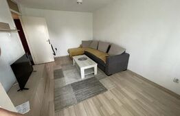 Apartament mobilat, 2 camere, Calea Aradului