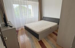 Apartament mobilat, 2 camere, Calea Aradului