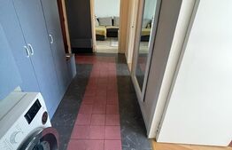 Apartament mobilat, 2 camere, Calea Aradului