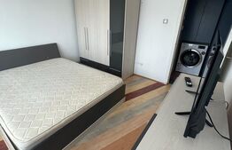 Apartament mobilat, 2 camere, Calea Aradului