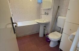 Apartament mobilat, 2 camere, Calea Aradului