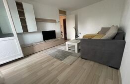 Apartament mobilat, 2 camere, Calea Aradului