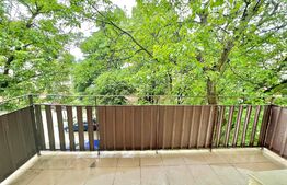 Super ocazie Apartament semicentral 2 camere 55 mp etaj 2, Matei Basarab 